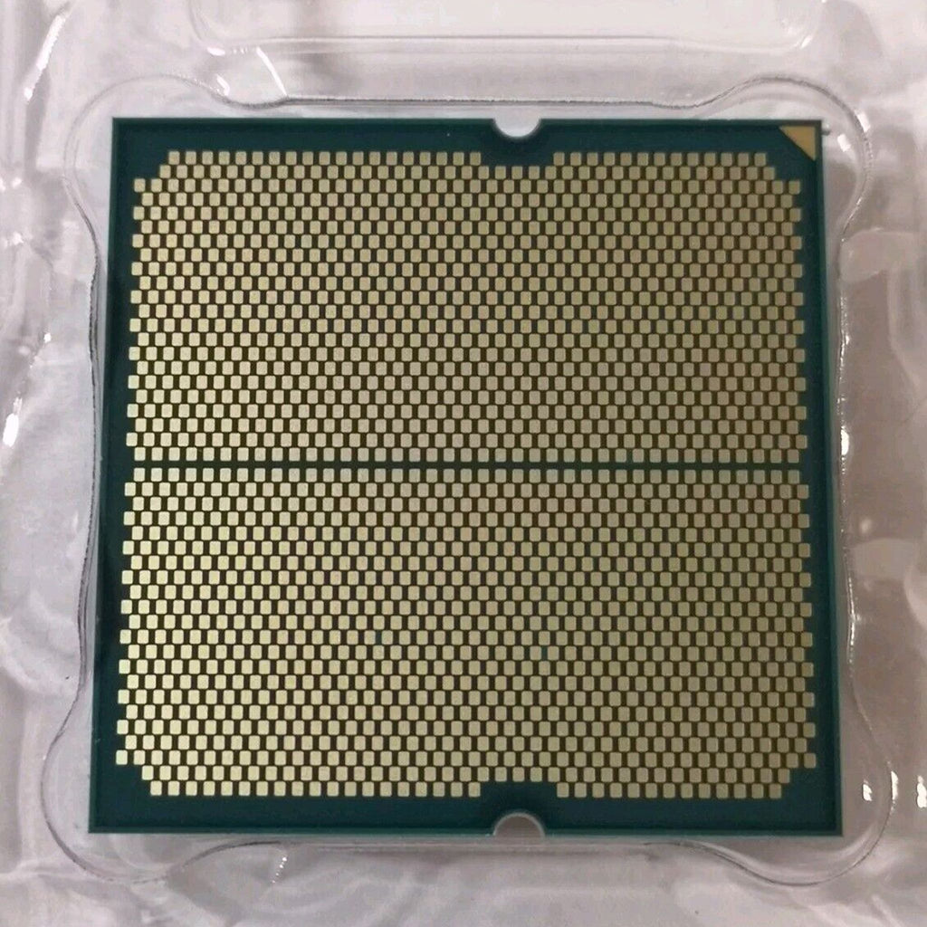 A close-up view of the AMD Ryzen 5 7600 Processor (6‑Core, Zen 4, AM5) showcases its gold contact pins in a grid pattern. The chip is positioned in a clear plastic tray designed for the AM5 platform.